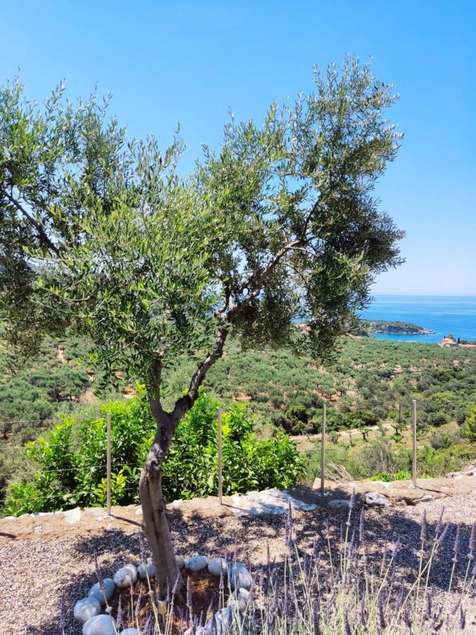 Athina'S Stone House In Kardamyli Vila Exterior foto