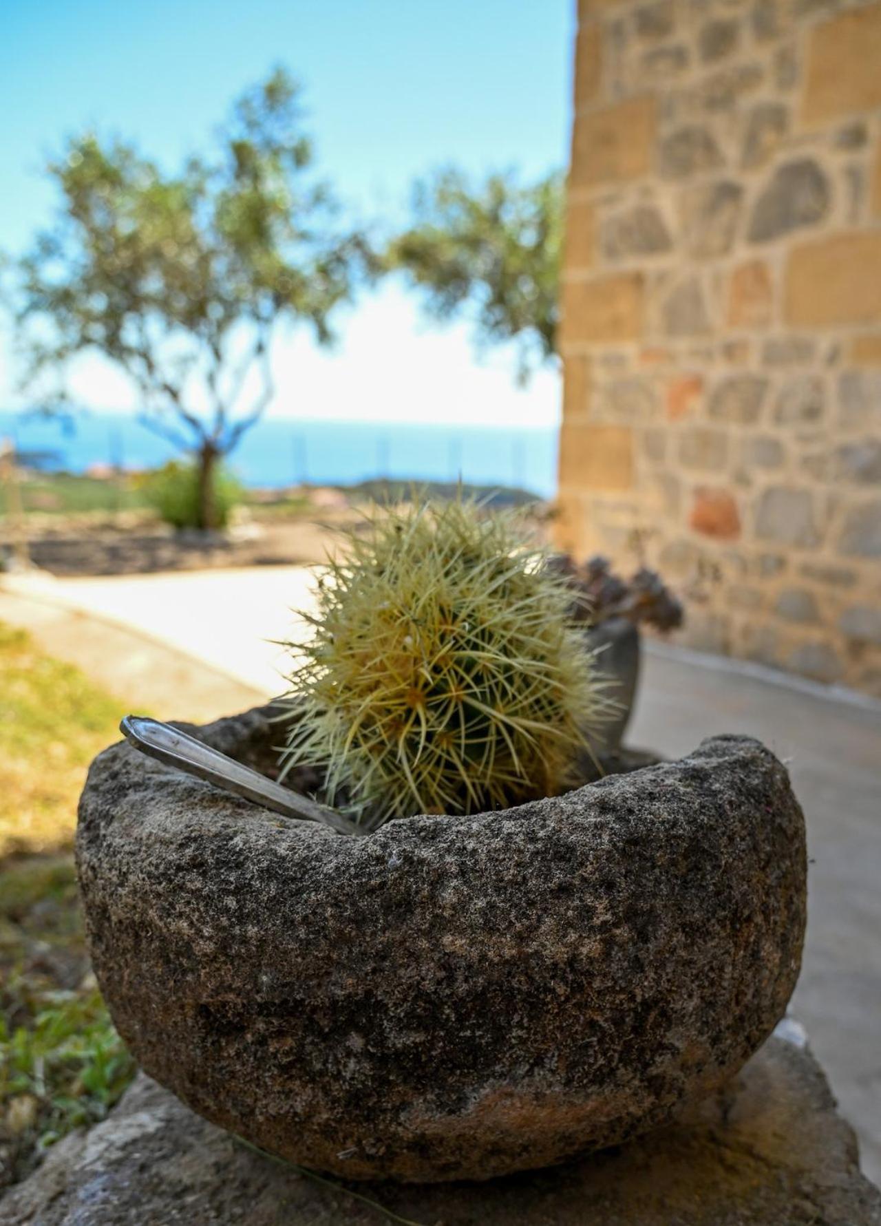 Athina'S Stone House In Kardamyli Vila Exterior foto