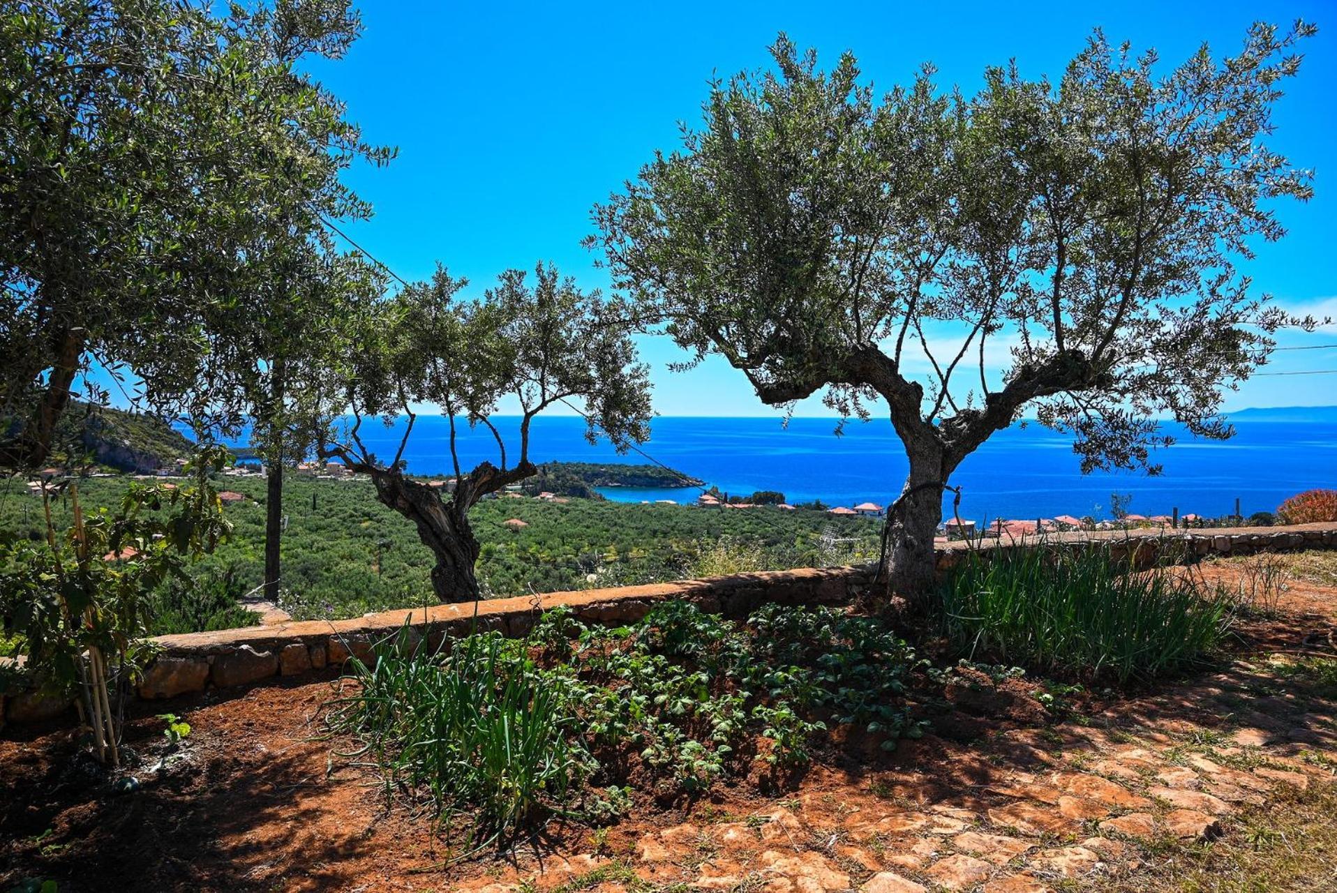 Athina'S Stone House In Kardamyli Vila Exterior foto